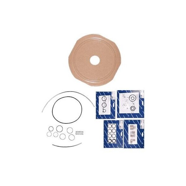 Pump Repair Parts- Kit, maint.Cl2/143/40kg/h/FKM/<Dec03, Dosing Pumps.